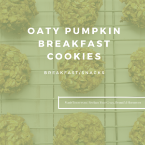 Oaty Pumpkin Breakfast Cookies by Marie Tower at MarieTower.com